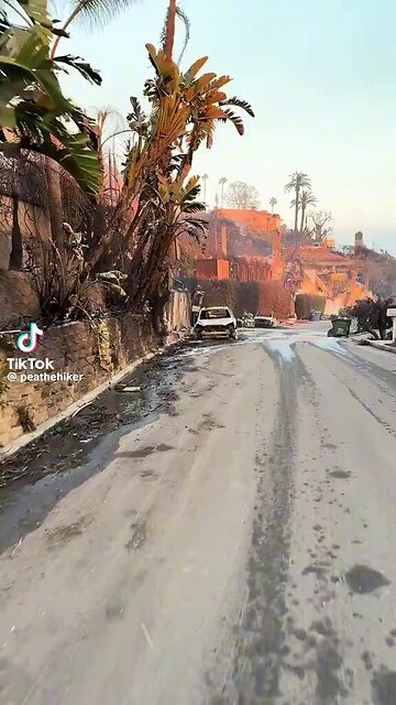 Citizen Free Press - SHORT DYSTOPIAN SCENES FROM MALIBU AFTER THE FIRES