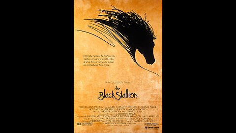 Black Stallion 1979