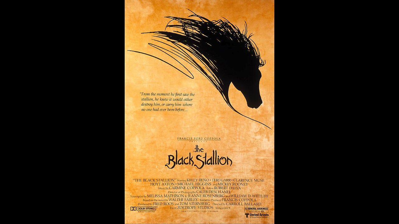 Black Stallion 1979