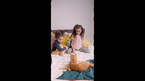 kids playing with cat 🐱🐱🐱