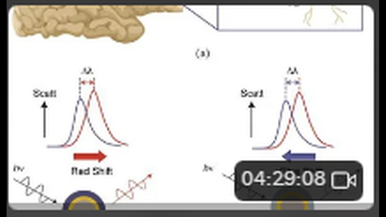 Montauk, Sage Radar & in vivo Neuro Photonics