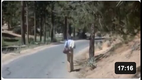 The natural order of relationships when you wake up and go alone...