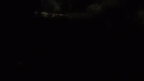😱🙀 Chilling Cries for Help in the Night! | TheHauntingHour