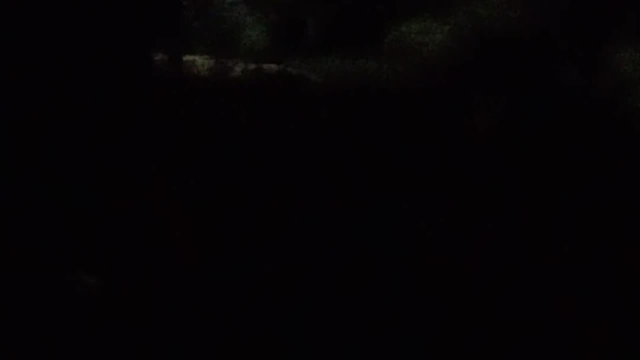 😱🙀 Chilling Cries for Help in the Night! | TheHauntingHour