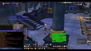 Turtle Wow - MM Kara40 progression - Paladin POV - Warlock boss still alive