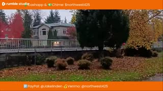 LIVE Q&A IN THE RAIN! WELCOME EVERYONE 🙏