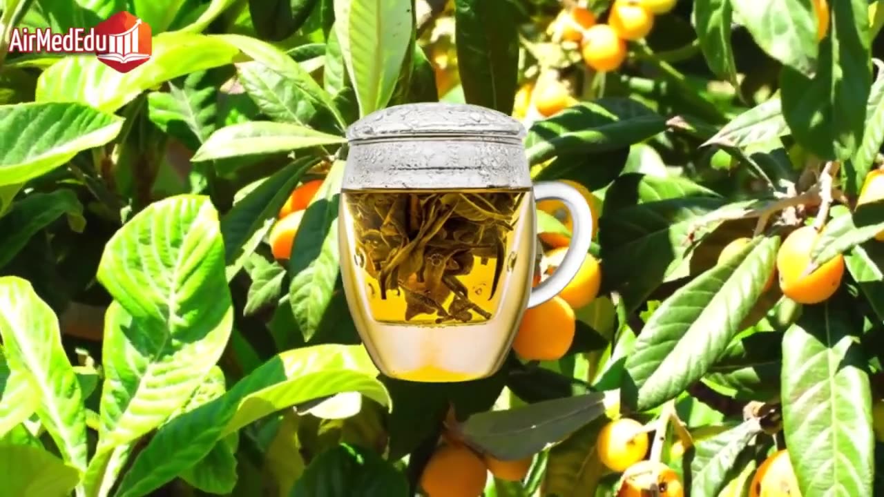 Loquat Leaf Tea for Blood Sugar Control