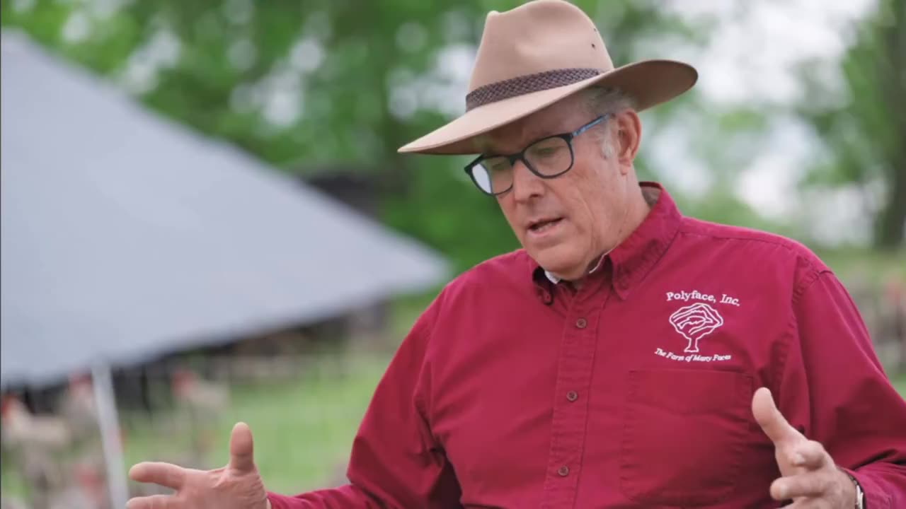 Farmer Joel Salatin on bird flu immunity