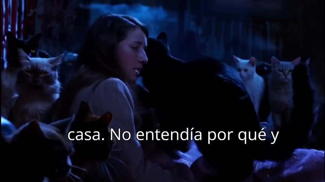 LA MUCHACHA DE LOS GATOS