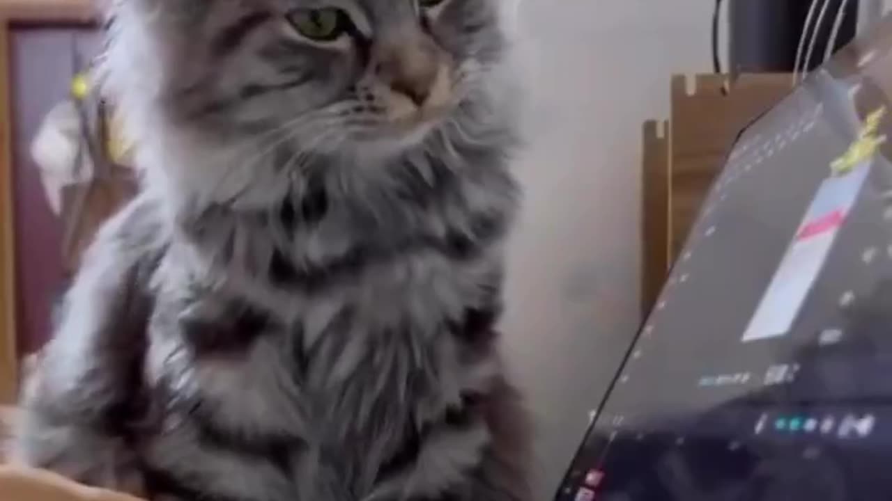 The supervisor.. 😅