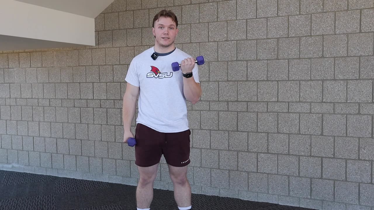 Alternating Bicep Curls
