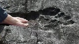 👽📜 Uncovering the Truth Behind the 'Giants' of Ancient Times | TheTruthAbove