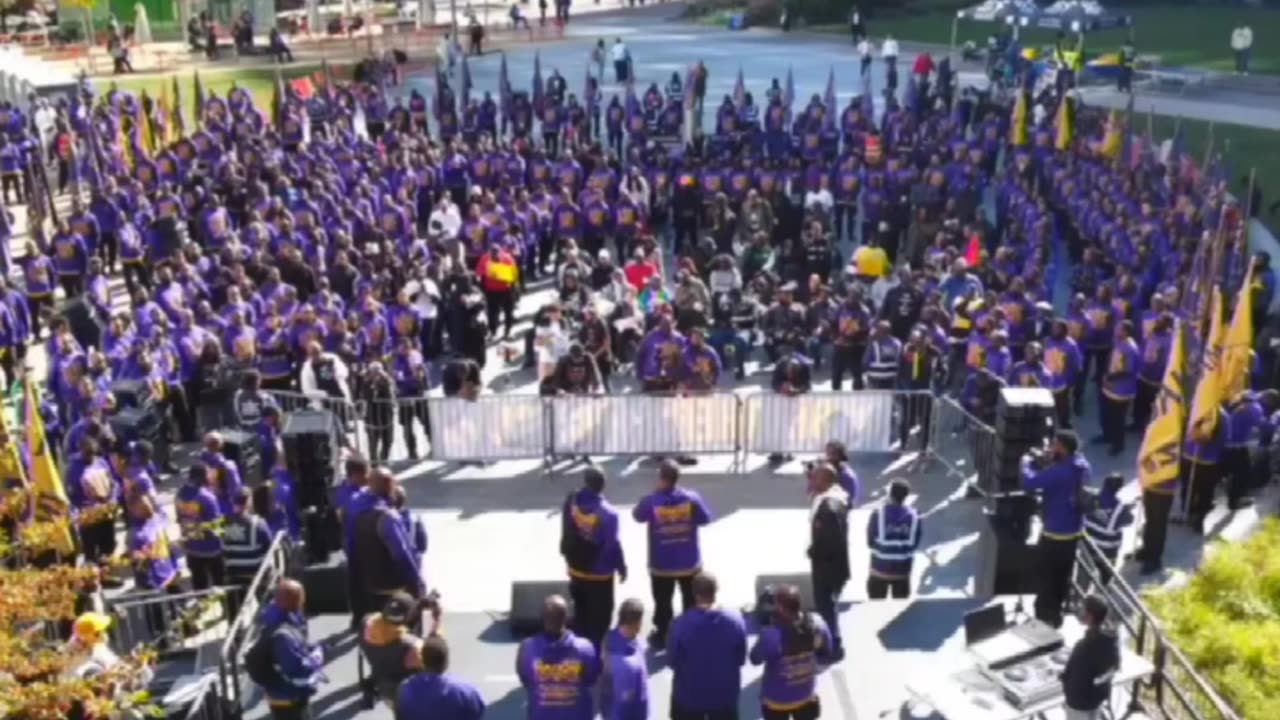 A 💡Light In A Dark Place