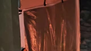 Camping out in a cardboard box shelter I pulled into the woods with a sled