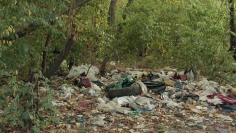 🌙 Electromagnetism and Self-Love