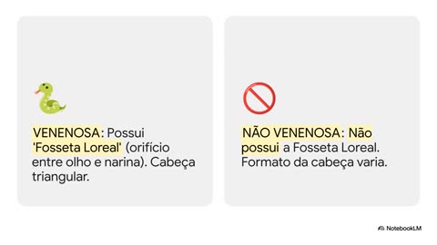 Como Sobreviver na Selva