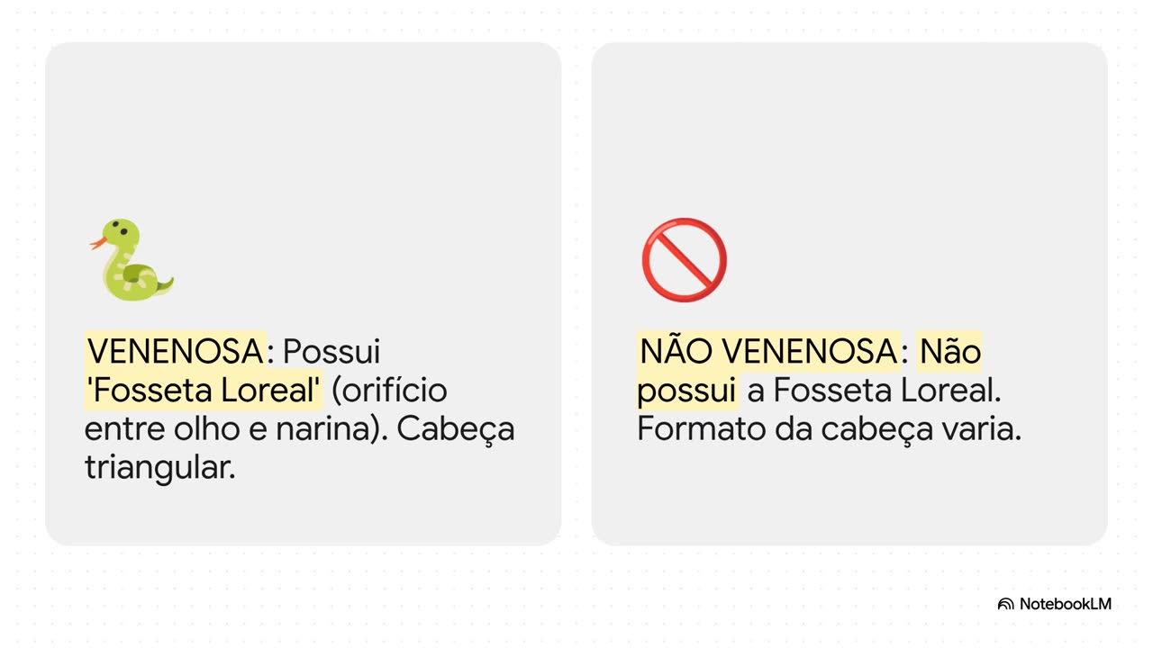 Como Sobreviver na Selva