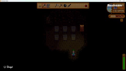 Stardew Valley chills