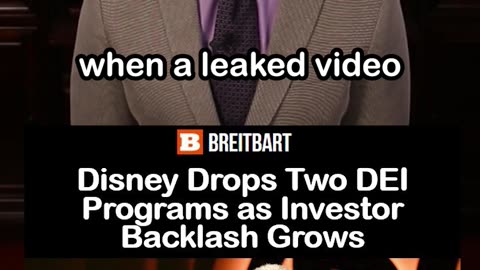 Disney Drops Two DEI Programs as Investor Backlash Grows [Reimagine Tomorrow program]