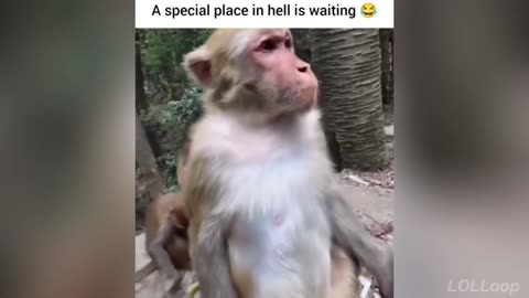 Top Funny Videos 2025 | Try Not to Laugh Challenge Edition