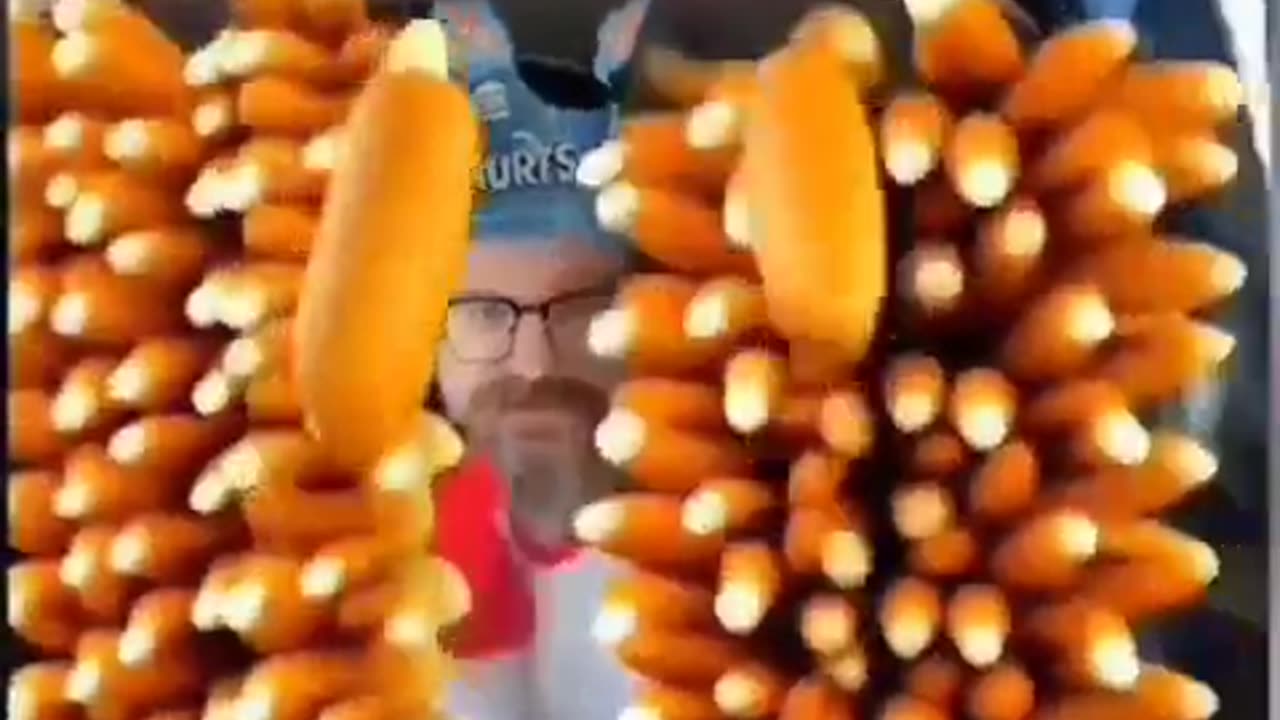 Wait— wat corn? Dog?