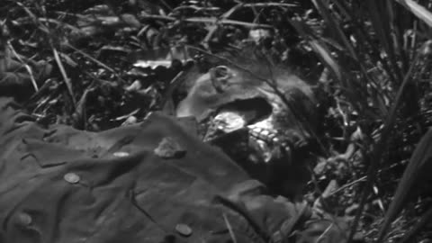 KOREAN WAR, POW, AN... - KOREAN WAR, POW, ANSONG ; POW, CHUNG-JU ; ATROCITIES, CHUNG- - 111-adc-8404