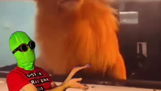 Crazy Stuff From the 3rd World #3 w/ GreenMan Reports