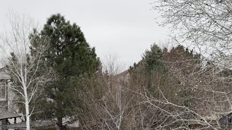 very cold outside 🥶