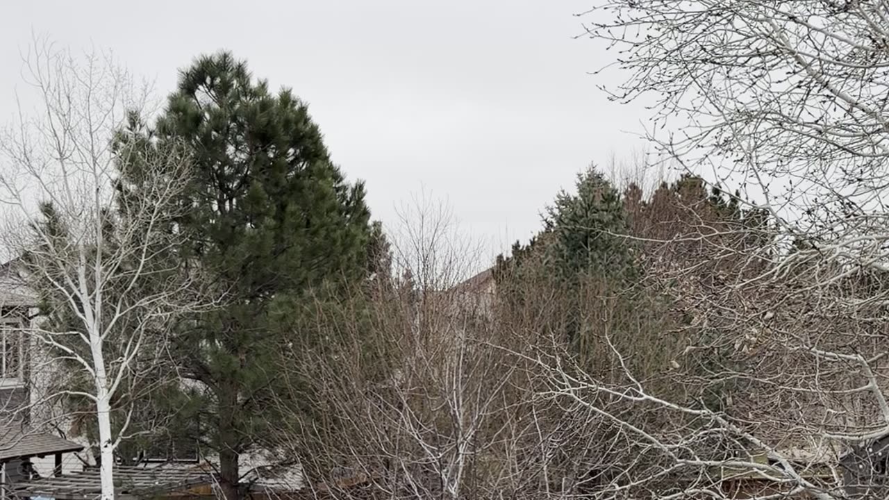 very cold outside 🥶