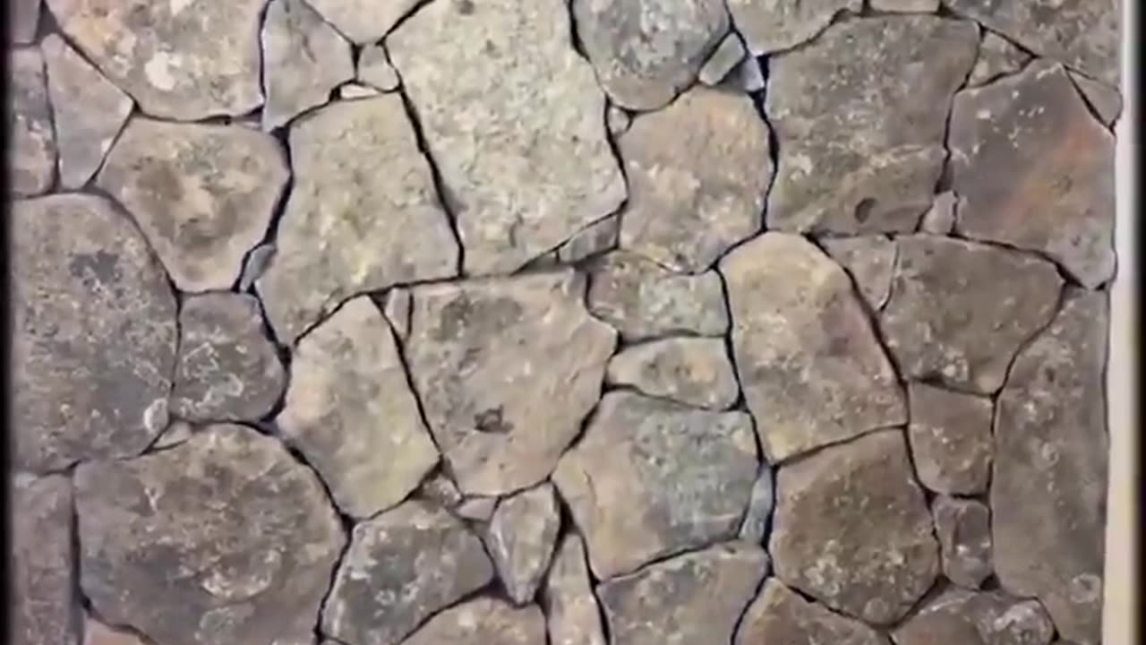 Compilation of secret doors