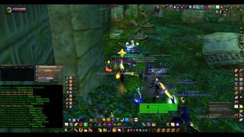 Turtle Wow - PUG ZG run - paladin POV
