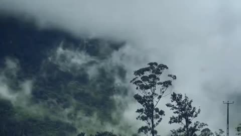 Letting go is not weakness. It’s wisdom.