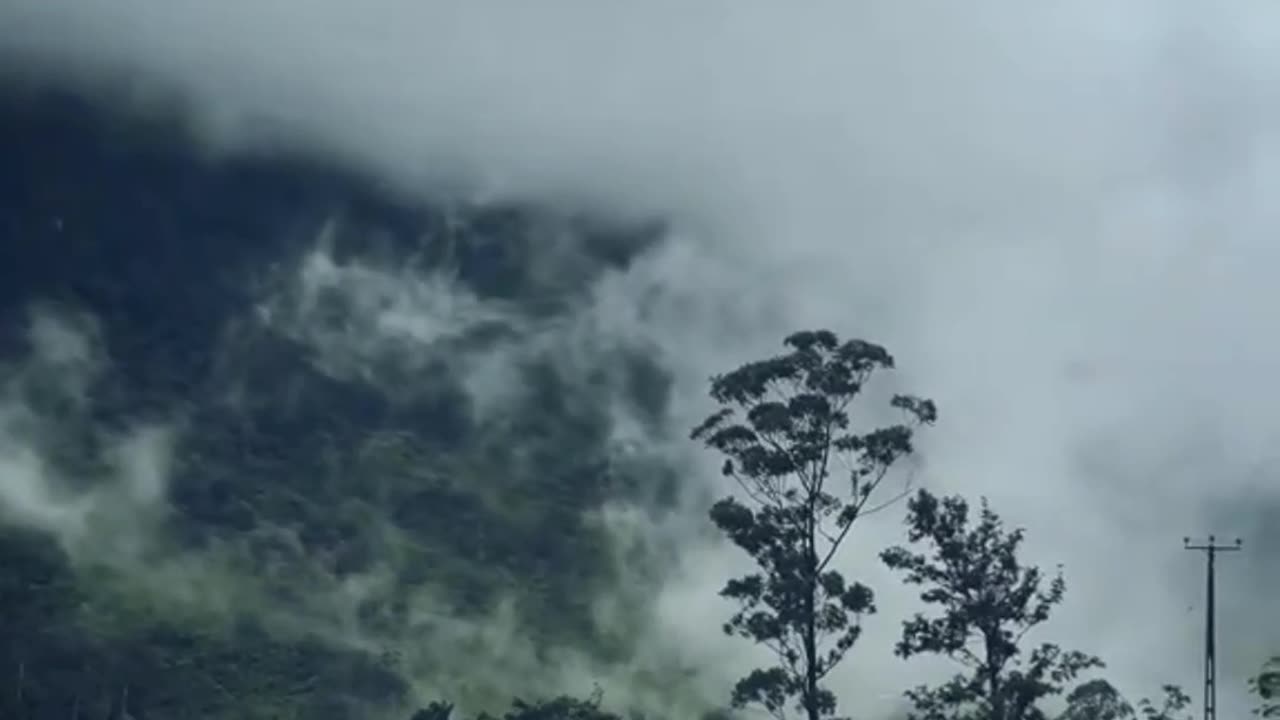 Letting go is not weakness. It’s wisdom.