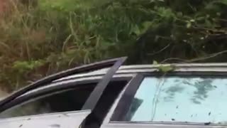 African Music Star Airport Disaster: Singer Barsee's Miraculous Car Crash Escape 🎶 🔈 🎶 🔈 #music