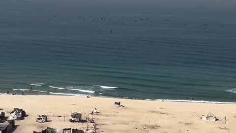 Israeli occupation forces have arrested five fishermen