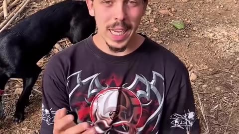 TIMO aviar PROHIBICIONES MIEDO y sacrificio de millones de animales