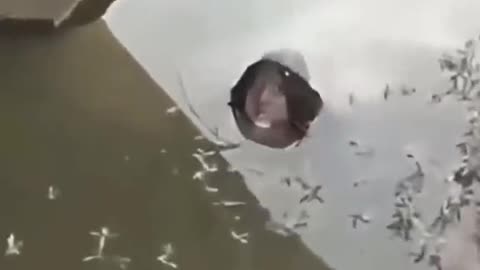 😨👽 The Creepiest Ouija Session Yet! Jinn, Aliens & Ufo Encounters | TheHauntingHour