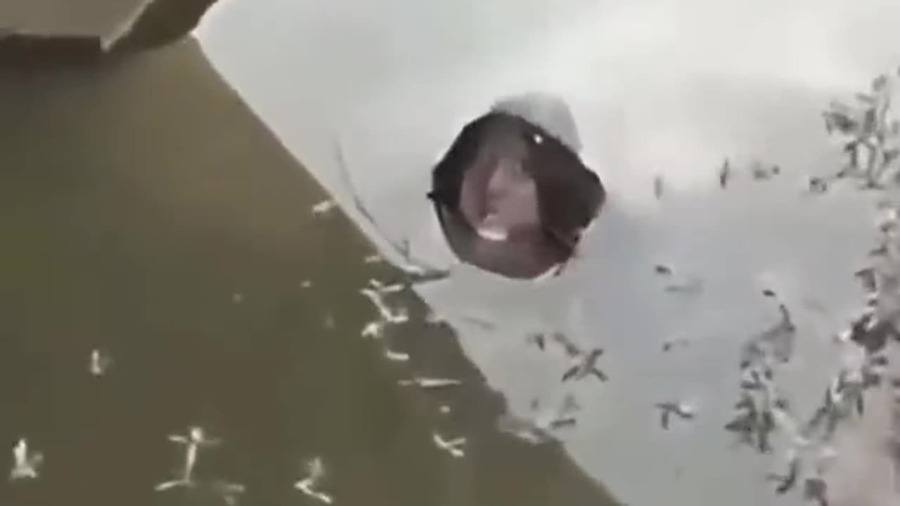 😨👽 The Creepiest Ouija Session Yet! Jinn, Aliens & Ufo Encounters | TheHauntingHour