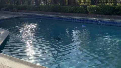 😨👻 Unsettling Discovery During Pool Business B-Roll | TheHauntingHour