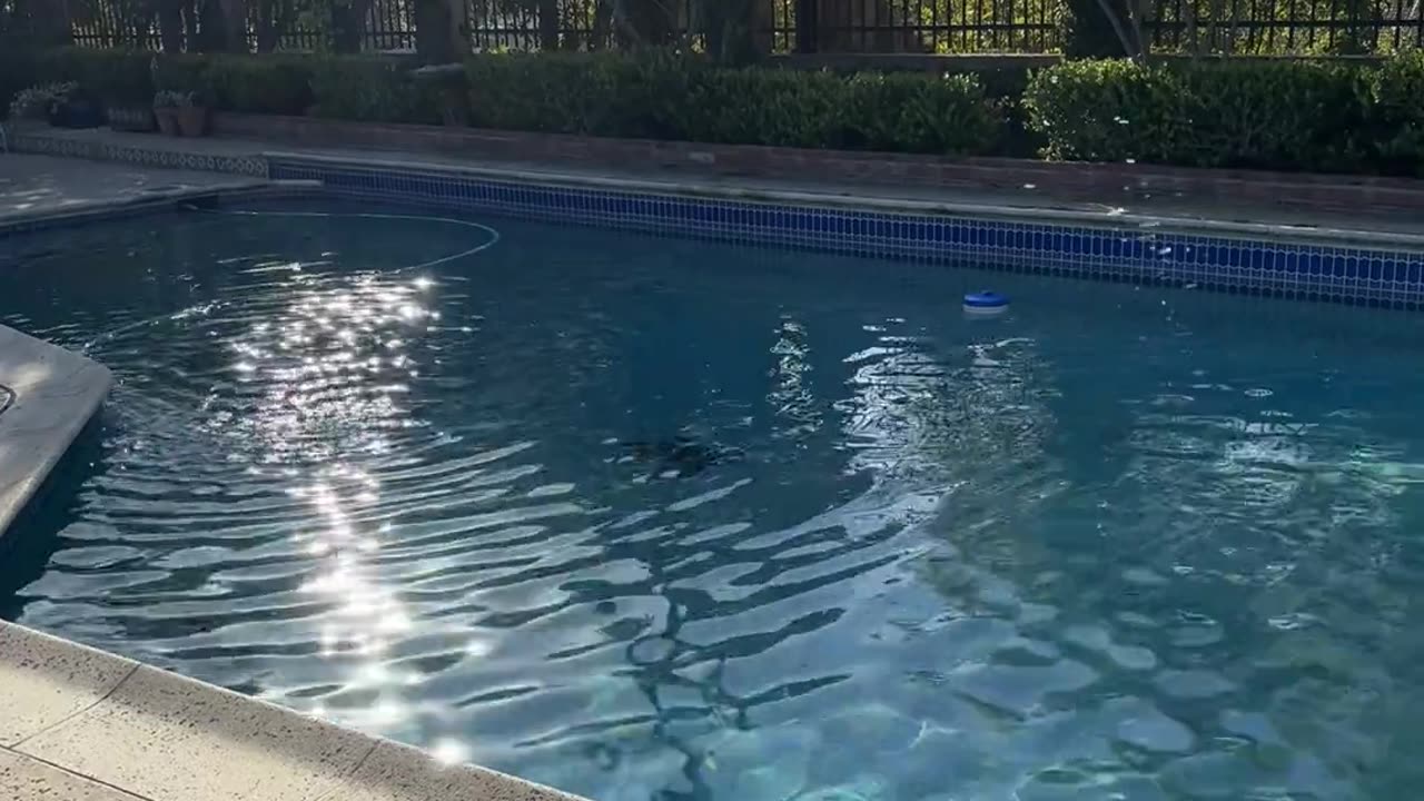 😨👻 Unsettling Discovery During Pool Business B-Roll | TheHauntingHour