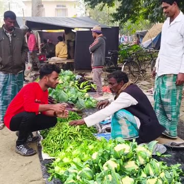 কই পাওয়ারের মটর