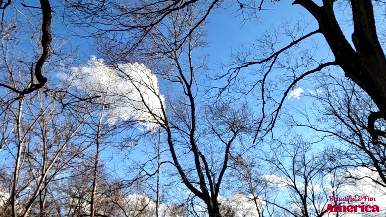 Ben E. King and The Drifters THIS MAGIC MOMENT