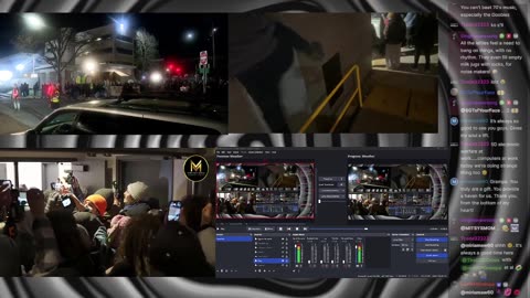 Watching The Monkey's Play