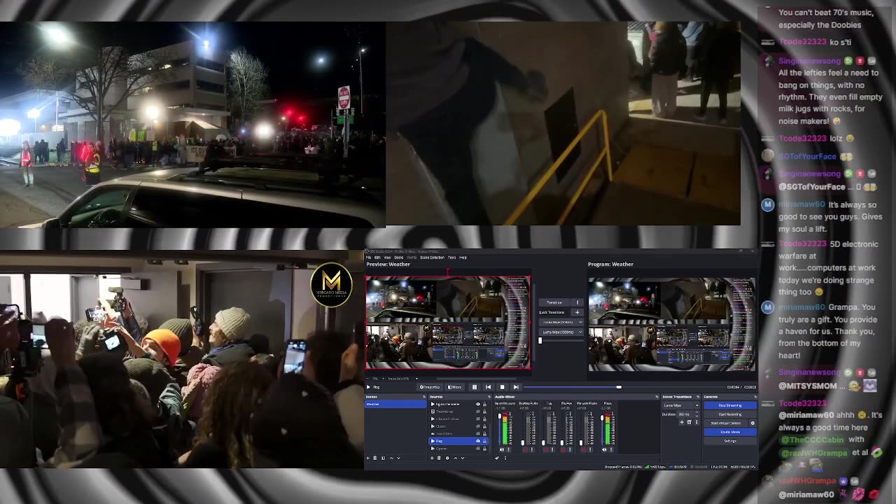 Watching The Monkey's Play