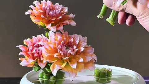 FLOWERS SET-UP BEAUTIFUL ❤️❤️