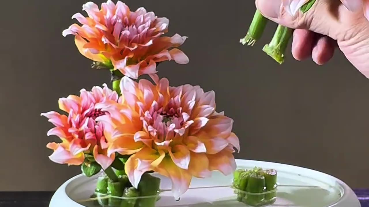 FLOWERS SET-UP BEAUTIFUL ❤️❤️