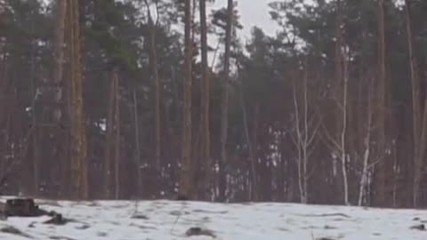 Guttorm Bakken skulle ha träffat Giacomel: ”Är förkrossad”