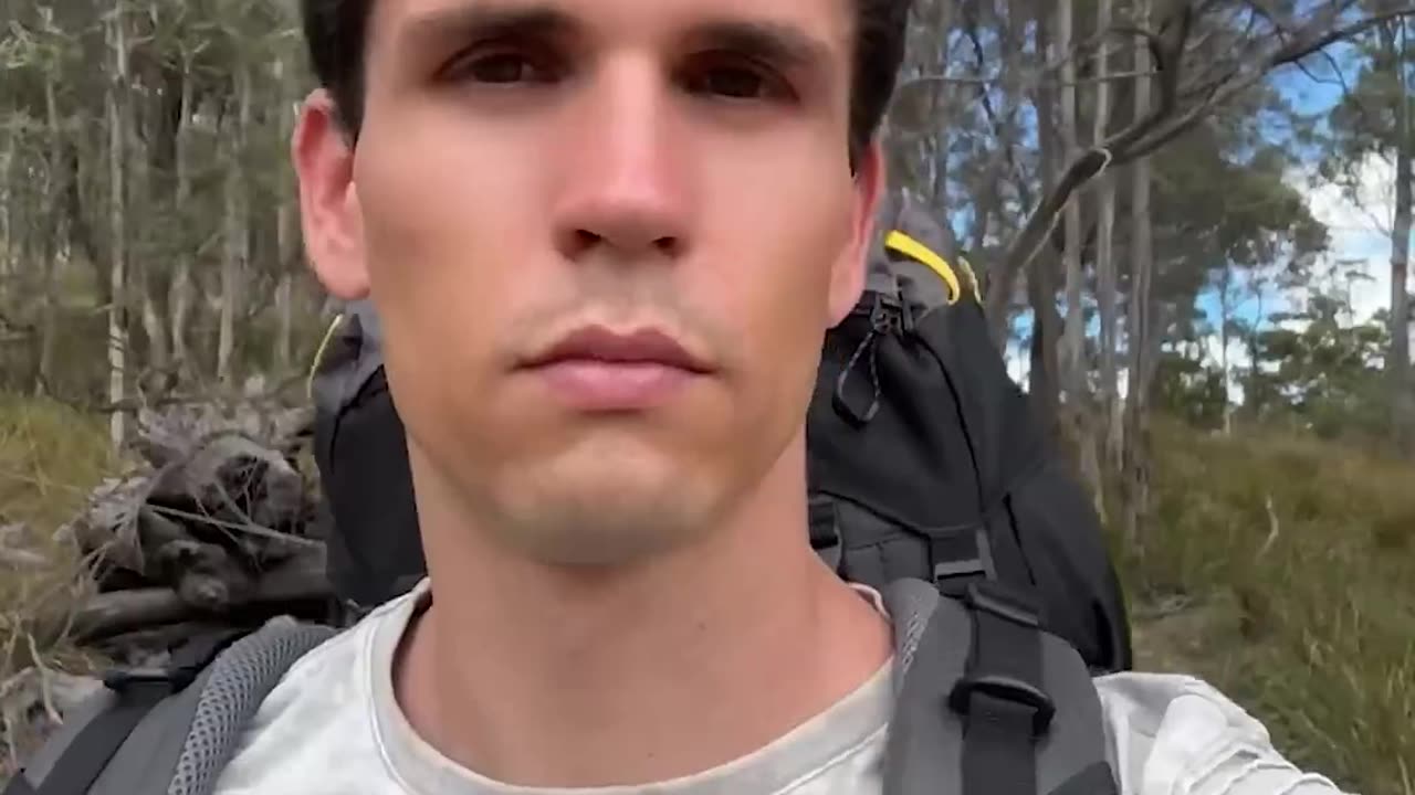 Things You See While Hiking Australia 😂 Part 2