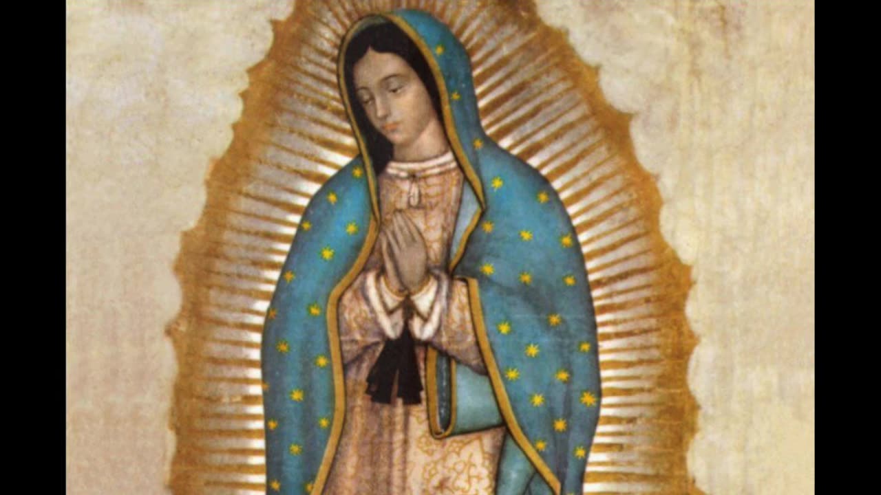 Our Lady's Message to Luz de Maria for January 23, 2025