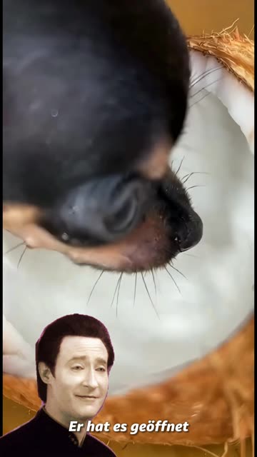 Dogs of Rumble, big dogs